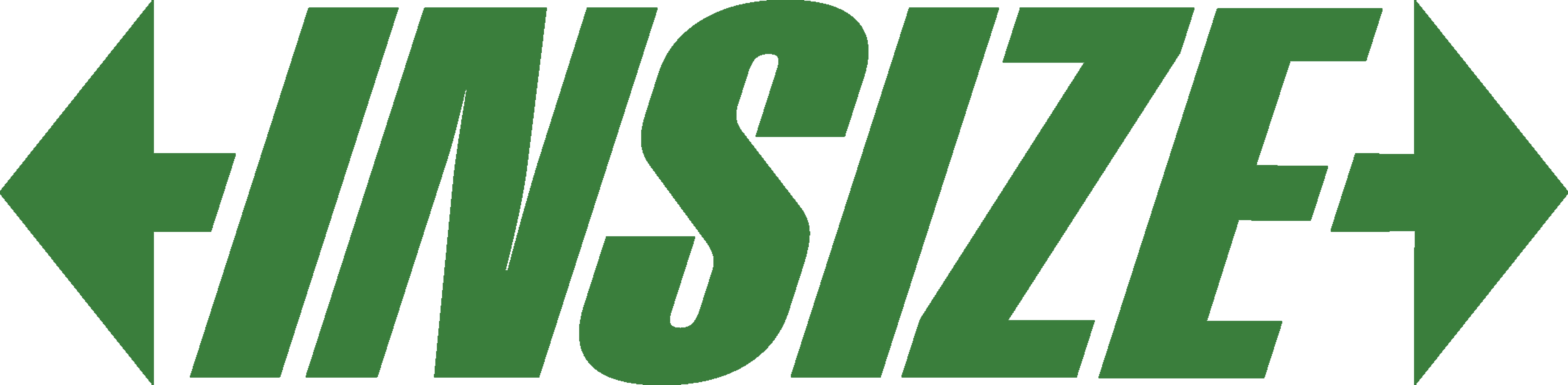 INSIZE Logo